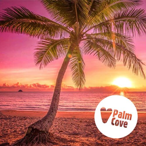 Tourism Palm Cove